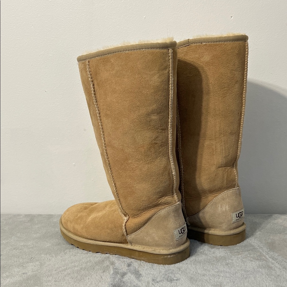 UGG Tall Suede Boots in Chestnut